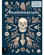 Anatomicum