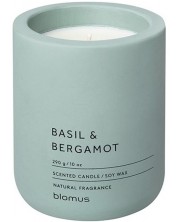 Αρωματικό κερί  Blomus Fraga - L, Basil & Bergamot, Pine Gray