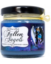 Αρωματικό κερί -Fallen Angels, 106 ml -1