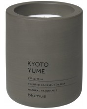 Αρωματικό κερί Blomus Fraga - L, Kyoto Yume, Tarmac -1
