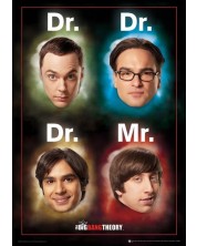 Εκτύπωση τέχνης Pyramid Television: The Big Bang Theory - Dr. Mr.
