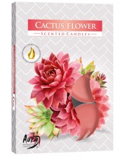 Αρωματικά κεριά τσαγιού Bispol Aura - Cactus Flower, 6 τεμάχια