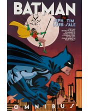Batman by Jeph Loeb & Tim Sale (Omnibus)