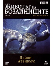 The Life of Mammals - Part 3 (DVD) -1