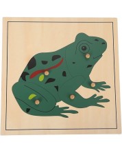 Ξύλινο παζλ με ζώα Smart Baby - Βάτραχος, 5 κομμάτια  -1