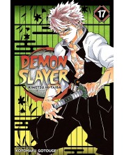 Demon Slayer: Kimetsu no Yaiba, Vol. 17 -1