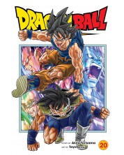 Dragon Ball Super, Vol. 20