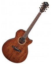 Ηλεκτροακουστική κιθάρα  Ibanez - AE295LTD, Natural -1
