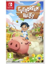Everdream Valley (Nintendo Switch) -1