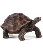Φιγούρα Mojo Woodland - Γιγαντιαία χελώνα