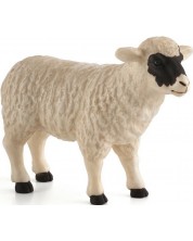 Φιγούρα Mojo Animal Planet - Πρόβατο -1