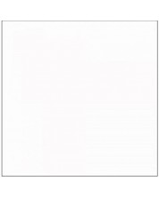 Χάρτινο φόντο Visico - Arctic White, 2.7x11m, λευκό -1