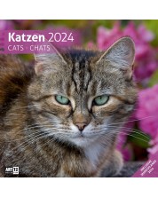 Ημερολόγιο Ackermann - Cats, 2024 -1