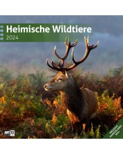 Ημερολόγιο Ackermann - Wild Animals of Germany, 2024 -1