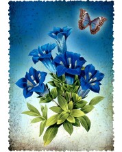 Κάρτα Gespaensterwald Romantique - Λουλούδι -1