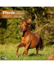Ημερολόγιο Ackermann - Horses, 2024 -1