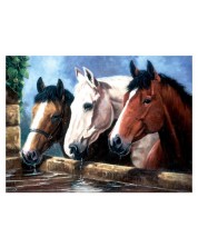 Σετ ζωγραφικής με ακρυλικά χρώματα Royal - Άλογα σε ποτιστήρι, 39 х 30 cm -1