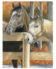 Σετ για σχέδιο με χρωματιστά μολύβια Royal - Horses, 22 x 30 cm -1