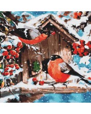Σετ ζωγραφικής με αριθμούς Ideyka - Φωτεινά πουλιά χιονιού, 40 х 40 cm