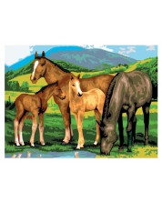Σετ ζωγραφικής με ακρυλικά χρώματα Royal - Άλογα και πουλάρια, 39 х 30 cm -1