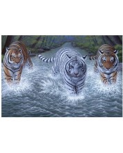 Σετ ζωγραφικής με ακρυλικά χρώματα Royal - Τίγρεις, 39 х 30 cm -1