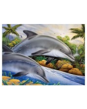 Σετ ζωγραφικής με ακρυλικά χρώματα Royal - Δελφίνια, 39 х 30 cm