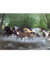 Σετ ζωγραφικής με ακρυλικές μπογιές Royal -  Άλογα, 39x30 cm