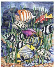 Σετ για σχέδιο με χρωματιστά μολύβια Royal - Tropical fish, 22 x 30 cm
