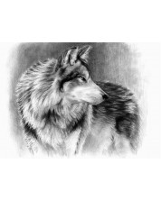 Σετ ζωγραφικής με μολύβι Royal Λύκος, γραφικά, 29x39 εκ -1