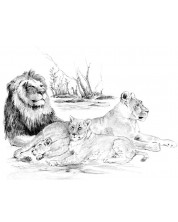Σετ ζωγραφικής με μολύβια Royal - Λιοντάρια, γραφικά, 29x39 εκ