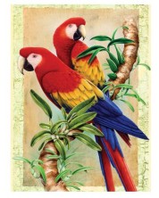Σετ ζωγραφικής με ακρυλικά χρώματα Royal - Παπαγάλους, 22 х 30 cm -1