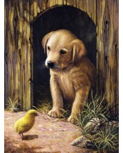 Σετ ζωγραφικής με ακρυλικά χρώματα  Royal - Κουτάβι και κοτόπουλο, 22x30 cm