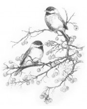 Σετ ζωγραφικής με μολύβια Royal - Πουλιά, 23 х 30 cm -1