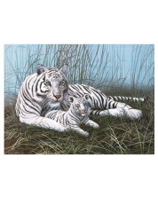 Σετ ζωγραφικής με ακρυλικά χρώματα Royal - Λευκές τίγρεις, 39 х 30 cm