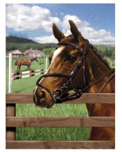 Σετ ζωγραφικής με ακρυλικά χρώματα Royal - Άλογο, 22 х 30 cm