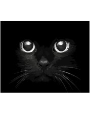 Σετ ζωγραφικής με αριθμούς  Foska - Μάτια της γάτας -1