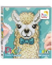 Δημιουργικό σετ pixel  Pixelhobby Classic - Αιγοκάμηλος -1