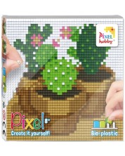 Δημιουργικό σετ pixel Pixelhobby Classic- Κάκτοι -1