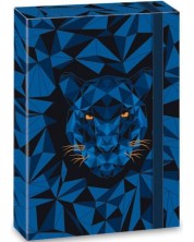 Κουτί με λάστιχο Ars Una Black Panther - А4