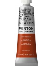 Λαδομπογιά Winsor & Newton Winton - Roasted Sienna, 37 ml -1