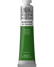 Λαδομπογιά   Winsor & Newton Winton -Green land, 200 ml -1