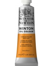 Λαδομπογιά Winsor & Newton Winton - Cadmium Yellow Dark, 37 ml -1