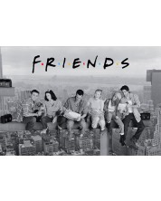 Μεγάλη αφίσα ABYstyle Television: Friends - Friends