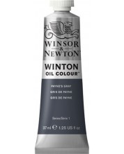 Λαδομπογιά  Winsor & Newton Winton - Gray Payne‘s, 37 ml