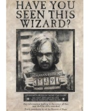 Maxi αφίσα GB eye Movies: Harry Potter - Wanted Sirius Black -1