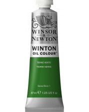 Λαδομπογιά Winsor & Newton Winton - Terre Verte, 37 ml