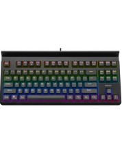 Μηχανικό πληκτρολόγιο NOXO -  Specter, Rainbow,μαύρο -1