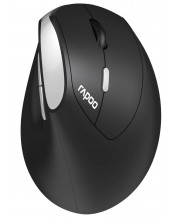 Ποντίκι Rapoo - EV250, οπτικό, ασύρματο, μαύρο/ασημί -1