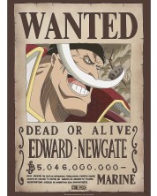  Μίνι αφίσα GB eye Animation: One Piece - Whitebeard Wanted Poster -1