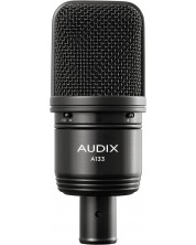 Μικρόφωνο AUDIX - A133, μαύρο